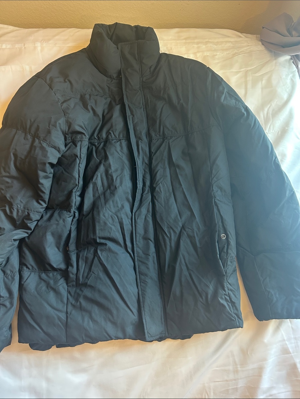 Express Men's Black Puffer Coat with High Collar